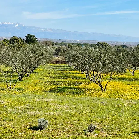 Sanja Διαμέρισμα